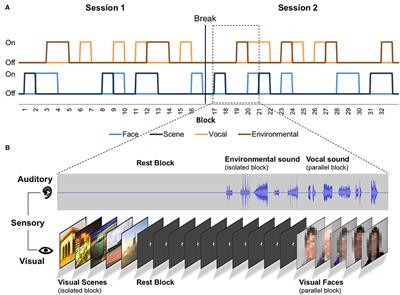 A Functional MRI Paradigm for Efficient Mapping of Memory Encoding Across Sensory Conditions